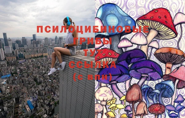 крисы Костерёво
