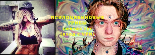 спиды Корсаков