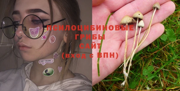 мет Коряжма
