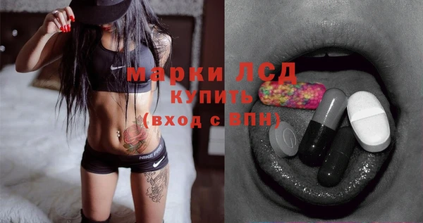 спиды Корсаков