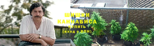 спиды Корсаков