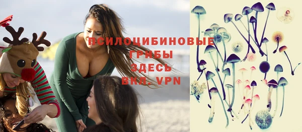 мет Коряжма