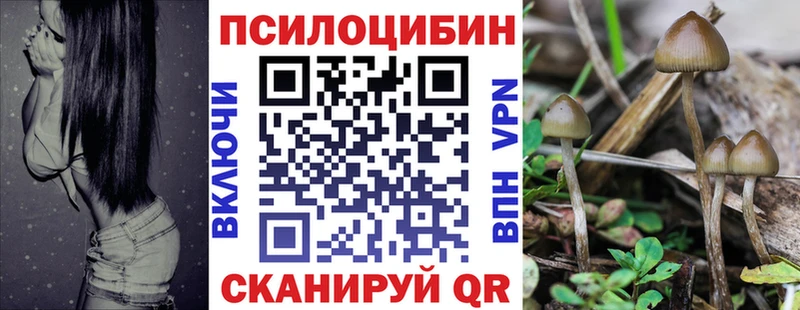 Галлюциногенные грибы ЛСД  Купить закладки  Канаш 